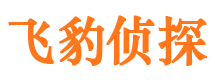 安乡私家调查公司